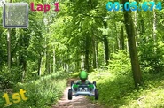 Luigi warioswoods