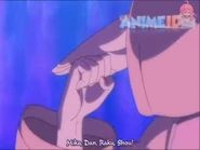 Sho