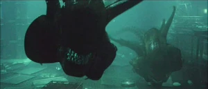 Alienresurrectionswin