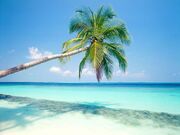 Free-beach-wallpaper