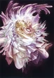 Caetuna crystal