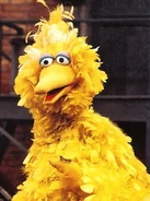 Bbirdmid'70s