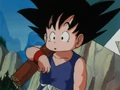 GokuBeginningDragonBall