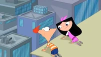 Phineas looks at Isabella