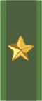 Gen Badge (SKB)