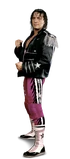 Bret Hart Full