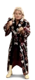 Greg Valentine Full