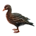 Item bean goose 01.png