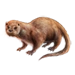 Item eurasian otter 01.png
