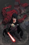 SWKnightErrant11 Variant