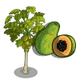 Papaya Tree-icon