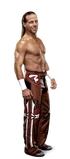 Shawn Michaels Full