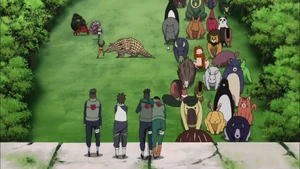 S-rank mission