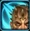Zabrak