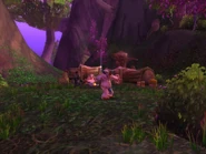 Gnarlpine Hold