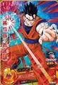 Gohan Heroes 25