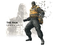 Pain MGS3