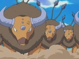 EH14 Tauros de Ash