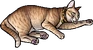 Seville.kittypet