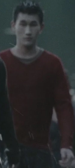 Logan in eclipse