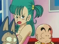 Disaproving bulma