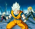 135158-dbz5 large super