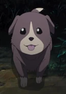 Anime Puppy