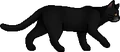 Nightfur.loner