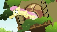 Fluttershy window leap S2E21