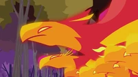 Phoenixes close-up S2E21