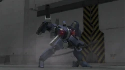 DD5
