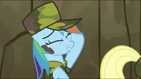 Rainbow Dash "One tough stain for one lame dragon..." S2E21