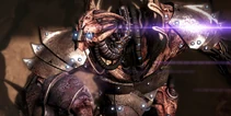 Codex Brute