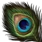 Inx Peacock Plumes