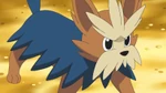 EP676 Herdier de Aloe