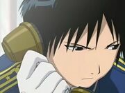 Roy mustang 02