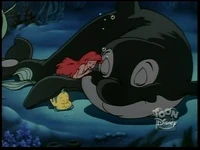 Whale108