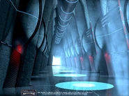 Lomncoliseum