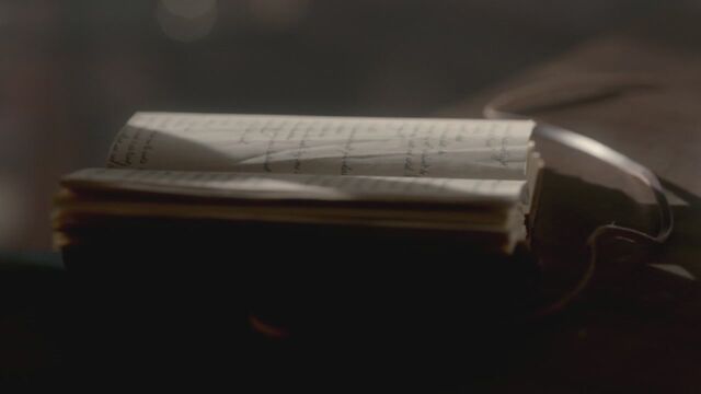 File:Stefdiary3x16.jpg