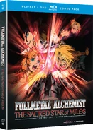3D fma ssom Combo