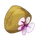 Orchid Seed