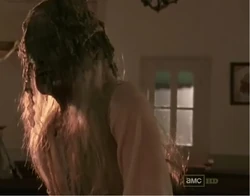 Church walker 2