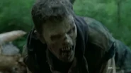 Daryl walker