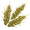 Rye Grain