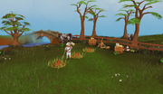Gnomecopters, Gone