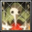 User Sachiel