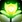 Spell-Spellbloom icon