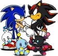 Sonicshadow