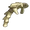 Spinal Column
