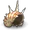 Aged Shell